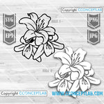 Flower Lily Clipart